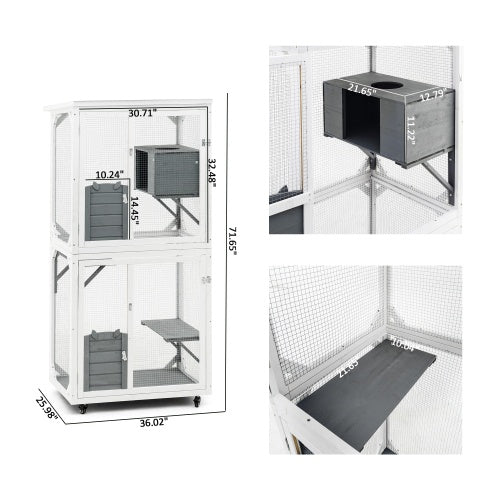Crystal Outdoor &  Indoor Cat Pet Climbing Frame