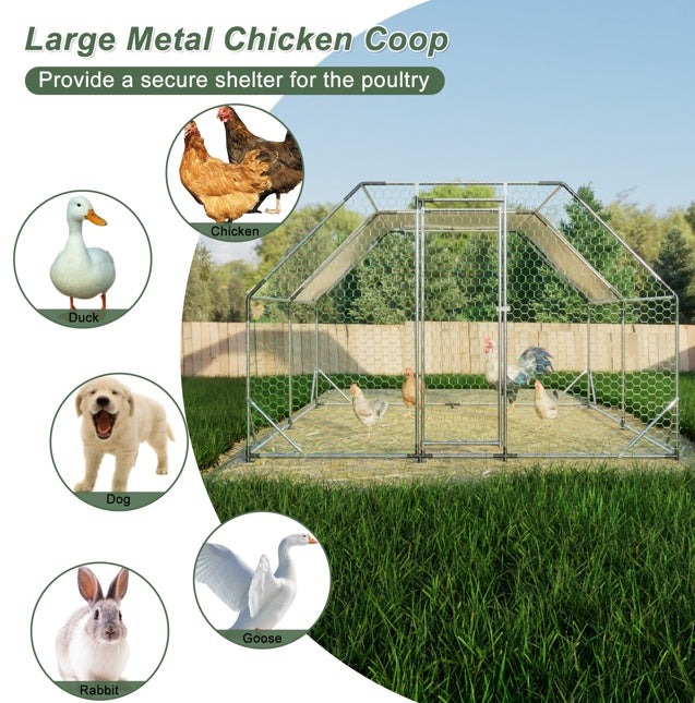 Crystal Top Chicken Coop