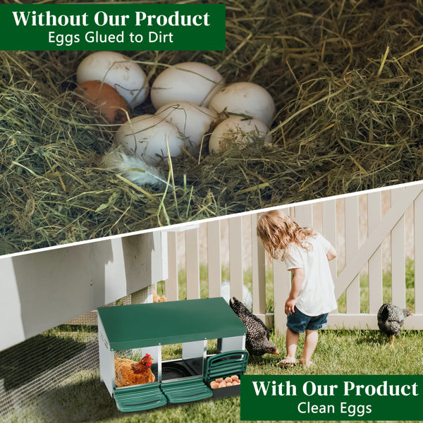 Crystal 3-compartment Chicken Feeding Trough