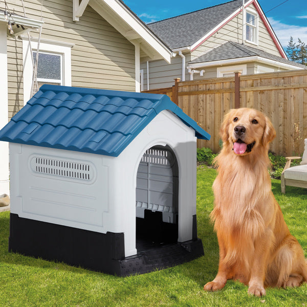 Crystal  Pointed House Type Cat And Dog House