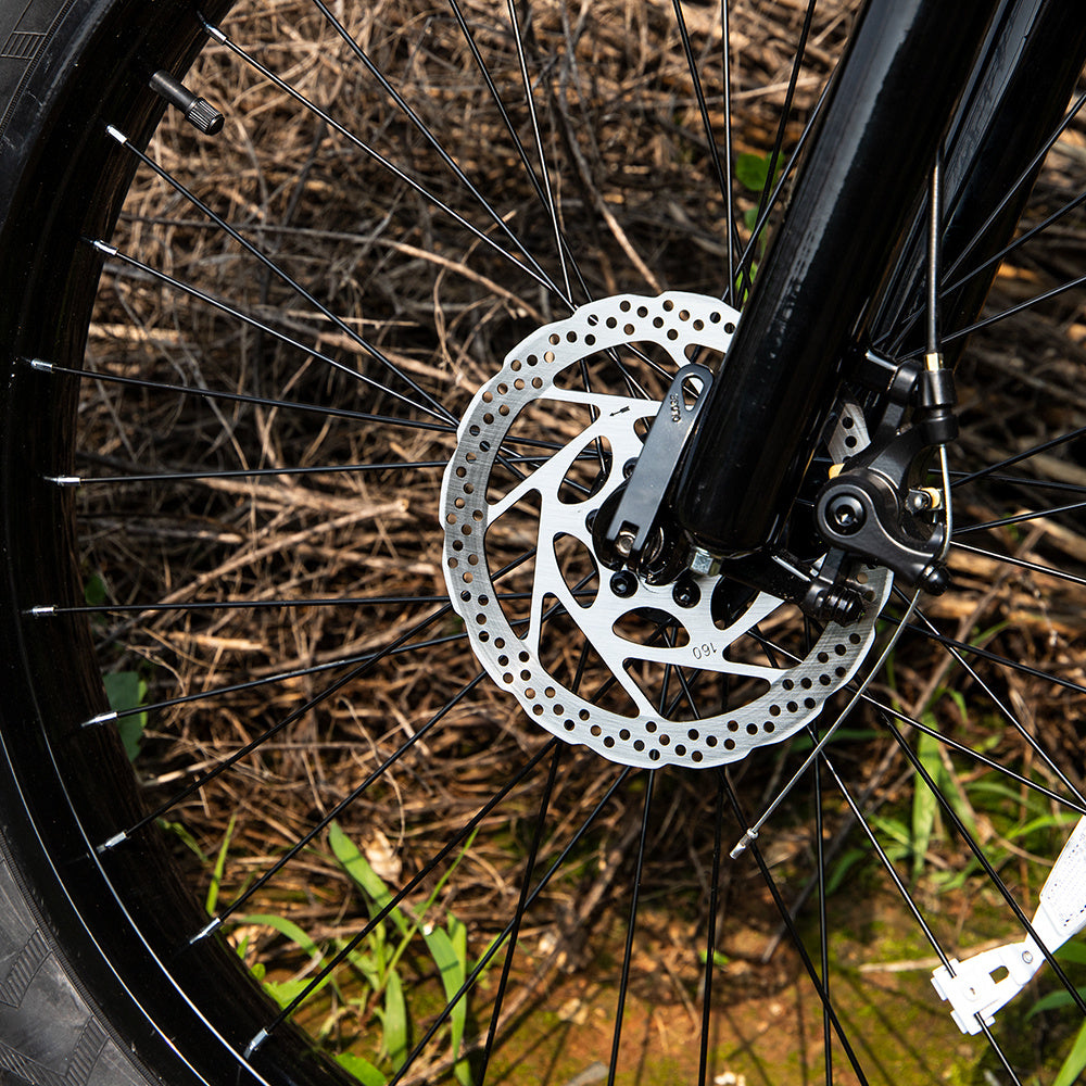 Professional Electric Bike For Adults,