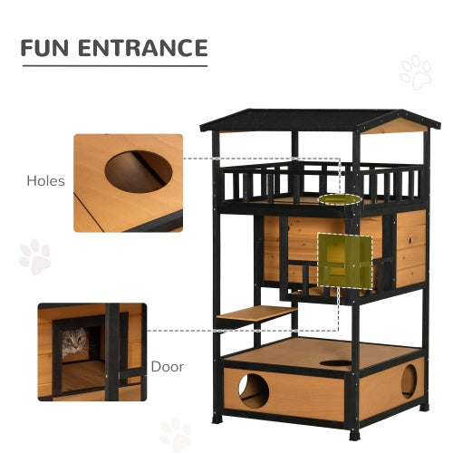 Crystal  Wild Cat Shelter Kitten Tree