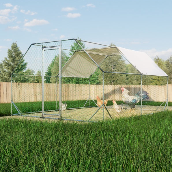 Crystal Top Chicken Coop