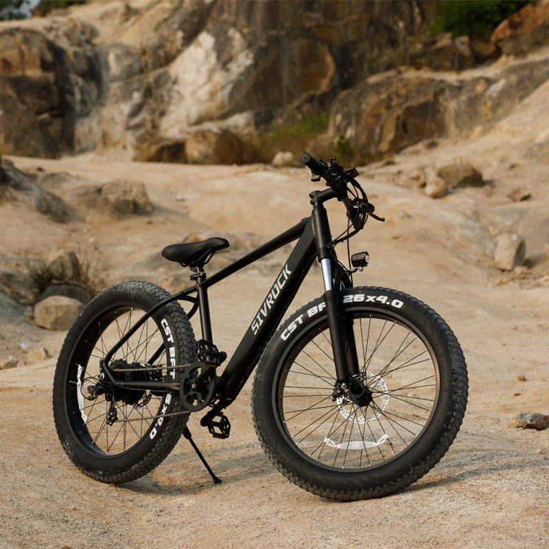 Professional Electric Bike For Adults,