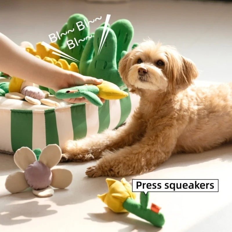 Crystal Pet Dog Food Leakage Educational Toys