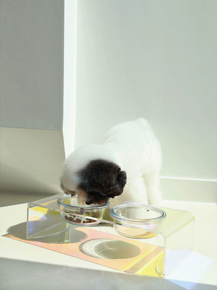 Crystal Food Basin Small Dog