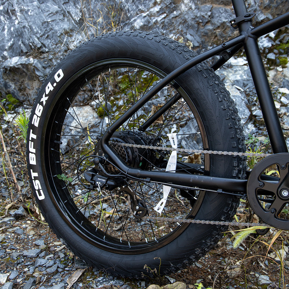Professional Electric Bike For Adults,