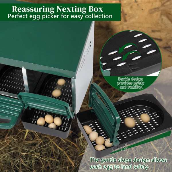 Crystal 3-compartment Chicken Feeding Trough