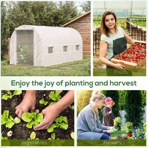 Crystal  Walk-In Tunnel Greenhouse