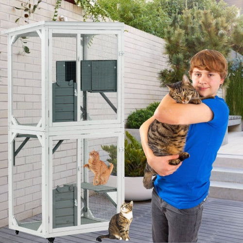 Crystal Outdoor &  Indoor Cat Pet Climbing Frame